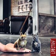 Lil People FCTRY familie portret portrat 3D print scan geschenk kado cadeau beeldjes figuren besonderes bijzonder jubileum honden hunde